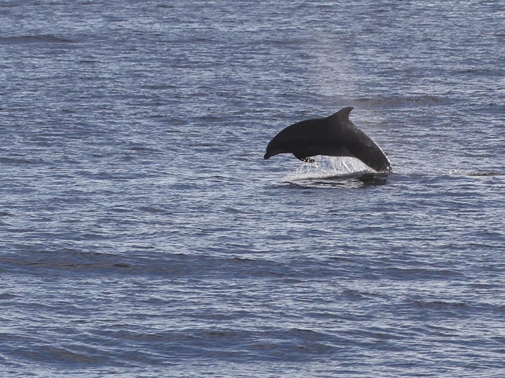 20101113_santa_barbara_4444