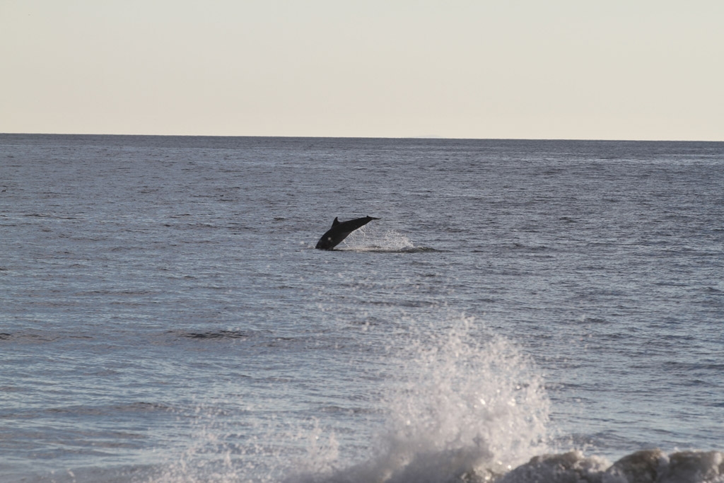 20101113_santa_barbara_4450