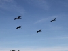 20101114_santa_barbara_4313
