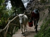 Wanderung zum Wasserfall