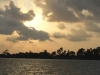 20120319_6456