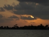 20120319_6471