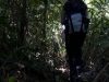 20120321_6308