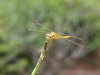 20120328_6953