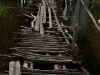 20120321_6393