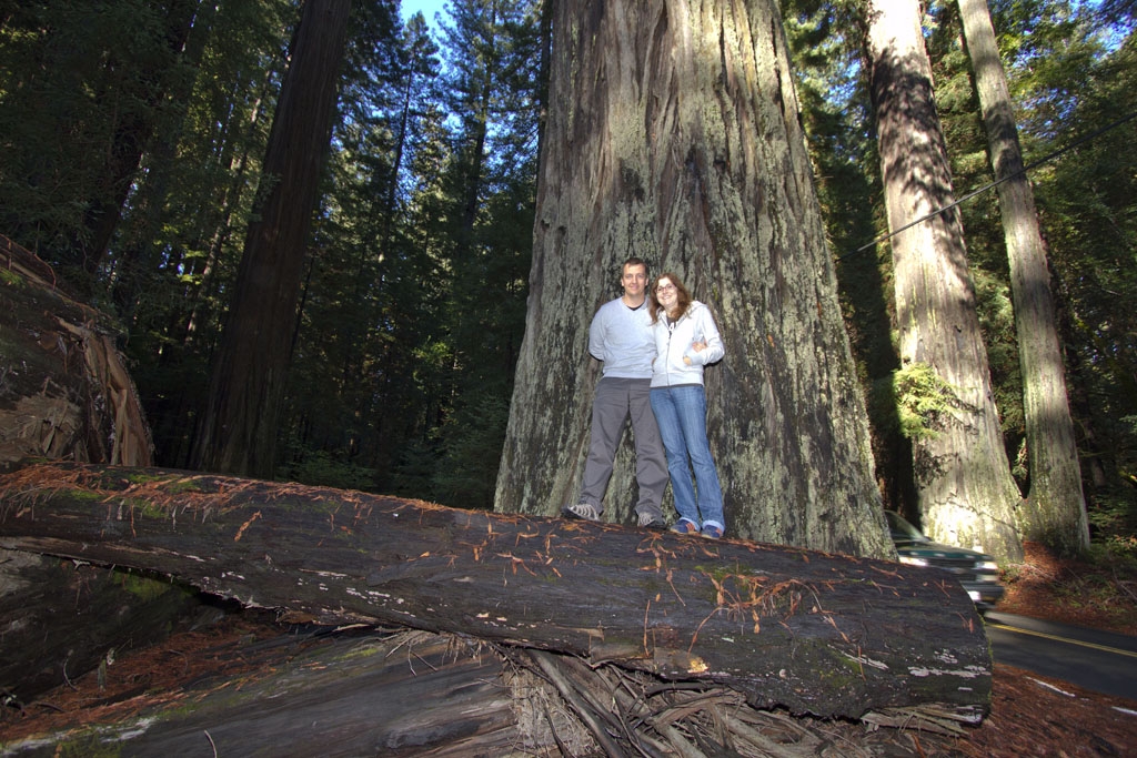 20101102_redwoods_2124