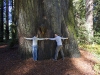 20101025_redwoods_0067