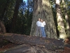 20101102_redwoods_2124