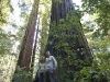 20101102_redwoods_2143