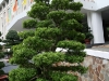 IMG_9783.JPG