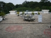 IMG_9799.JPG