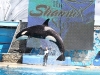 20101108_san_diego_2906