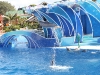 20101108_san_diego_3165