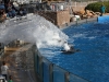 20101108_san_diego_3211