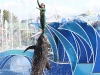 20101108_san_diego_3238