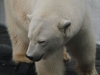 20101108_san_diego_3532