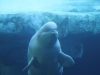 20101108_san_diego_3543