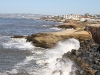 20101109_san_diego_3599