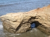 20101109_san_diego_3600