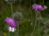 img_7598