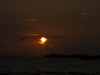 20120317_6067